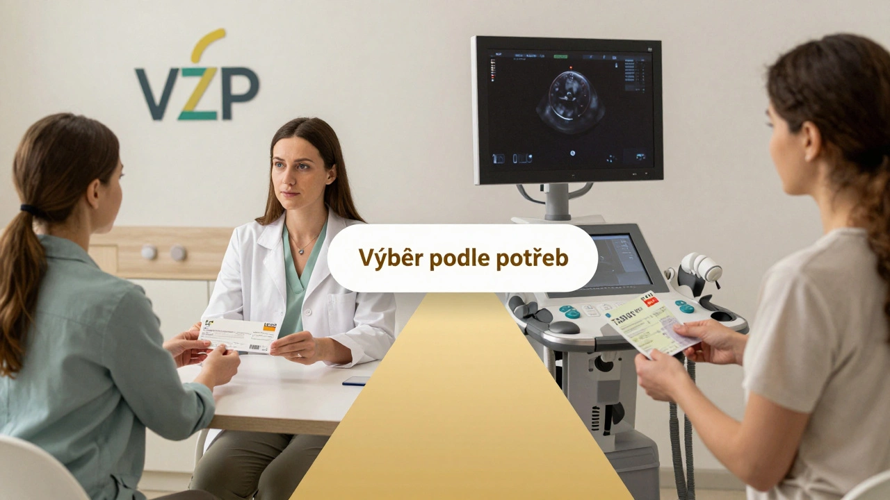 Dvě cesty gynekologické péče: zdarma u pojišťovny a placená v soukromé praxi.