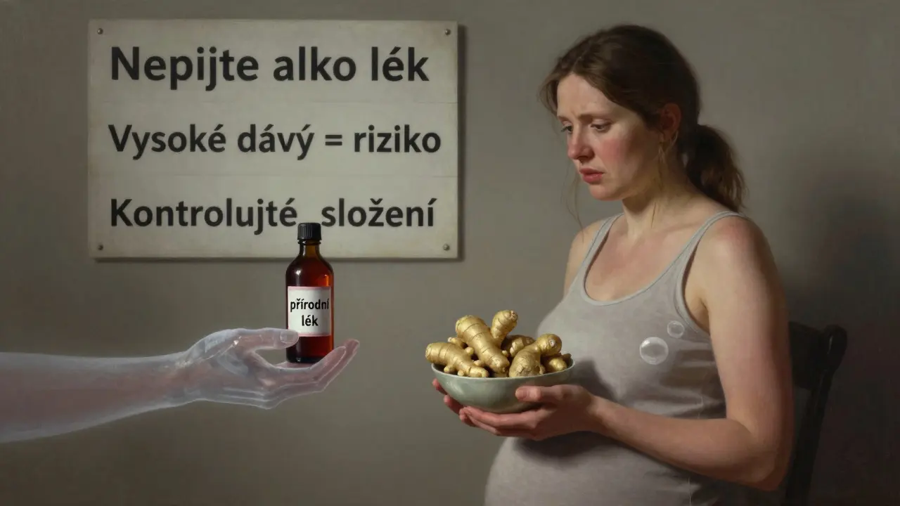 Těhotná žena se rozhoduje mezi čerstvým zázvorem a nebezpečnou bylinkovou infuzí, kolem ní varovné nápisy.